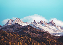 国际足联：美加墨世界杯冠军将获得5000万美元奖金